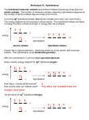 Worksheet 14 - Hybridization With Answers Printable pdf