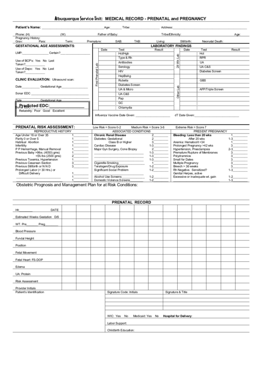 Medical Record Form - Prenatal And Pregnancy Printable pdf