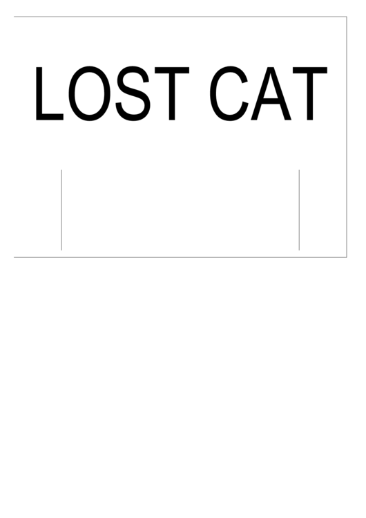 Lost Cat Poster Template