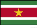 Suriname Flag Template