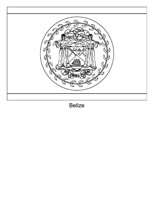 Belize Flag Template