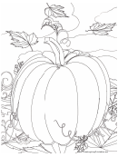 Thanksgiving Pumpkin Coloring Sheet
