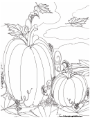Thanksgiving Pumpkins Coloring Sheet
