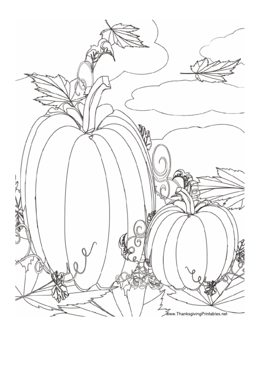 Thanksgiving Pumpkins Coloring Sheet