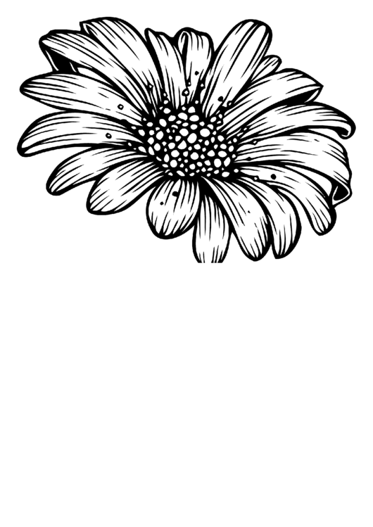 Daisy (Adult Coloring Page) Printable pdf