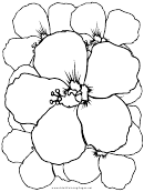 Petals (adult Coloring Page)