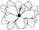 Stamen (adult Coloring Page)