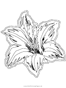 Lily (adult Coloring Page)