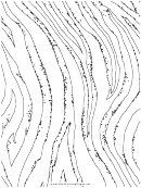 Coloring Sheet - Branches