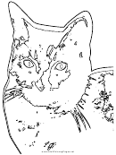 Cat (adult Coloring Page)