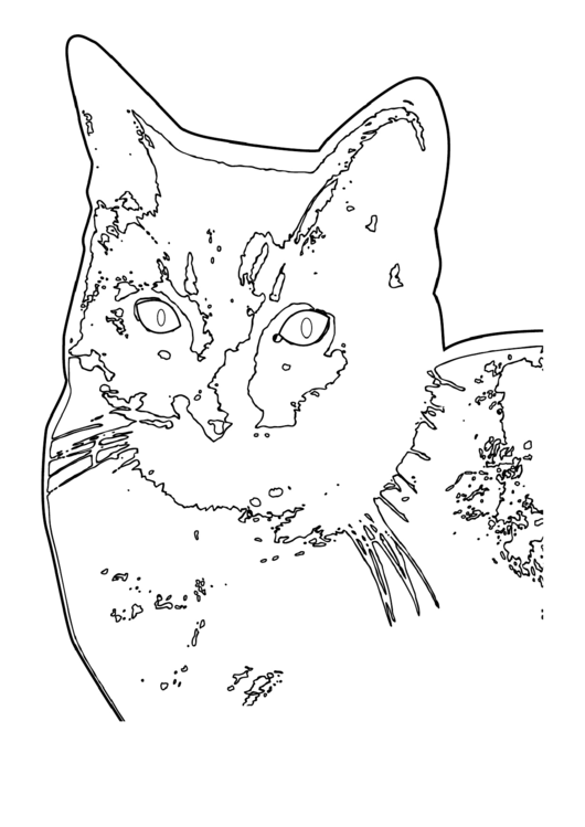 Cat (Adult Coloring Page) Printable pdf