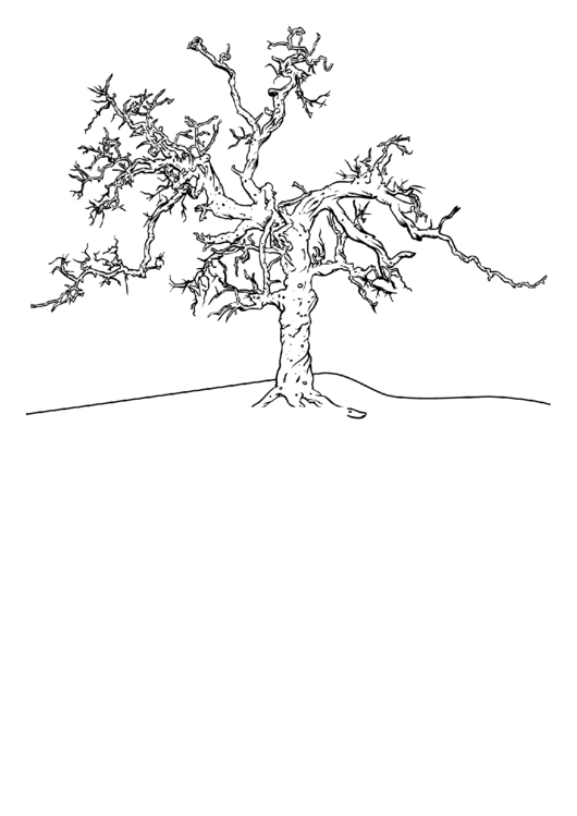 Coloring Sheet - Gnarled Printable pdf