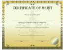 Certificate Of Merit Template
