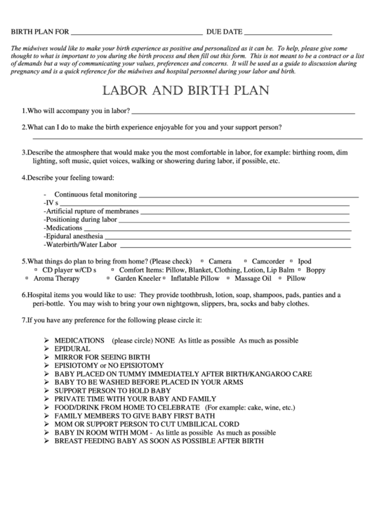 Labor And Birth Plan printable pdf download