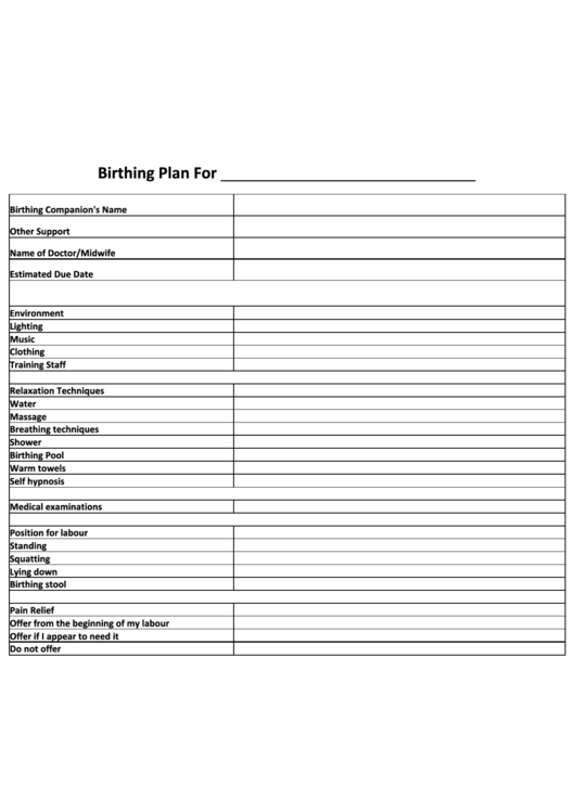 Birthing Plan Printable pdf