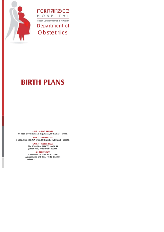 Birth Plans - Checklist Printable pdf