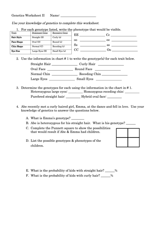 Genetics Worksheet Printable pdf