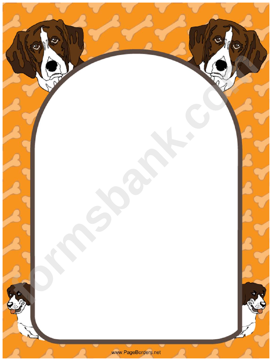 Brown And White Dog Border