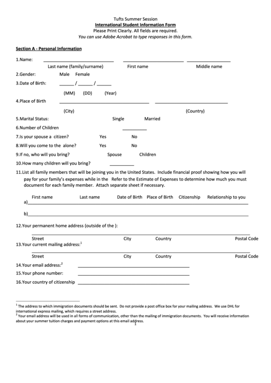 Fillable International Student Information Form Printable pdf