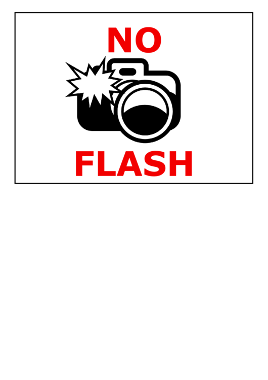 No Flash Photography Printable pdf