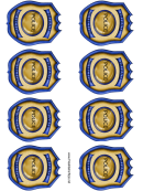 Police Private Detective Badges