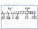 Biology Pedigree Chart Worksheet - Chapter 14, Mrs. Heier's Family Pedigree For Hair Type