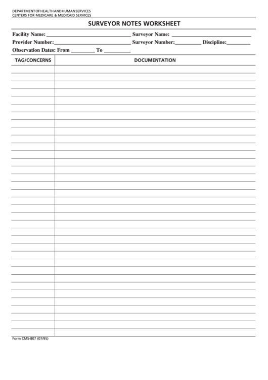 Fillable Form Cms-807 - Surveyor Notes Worksheet Printable pdf