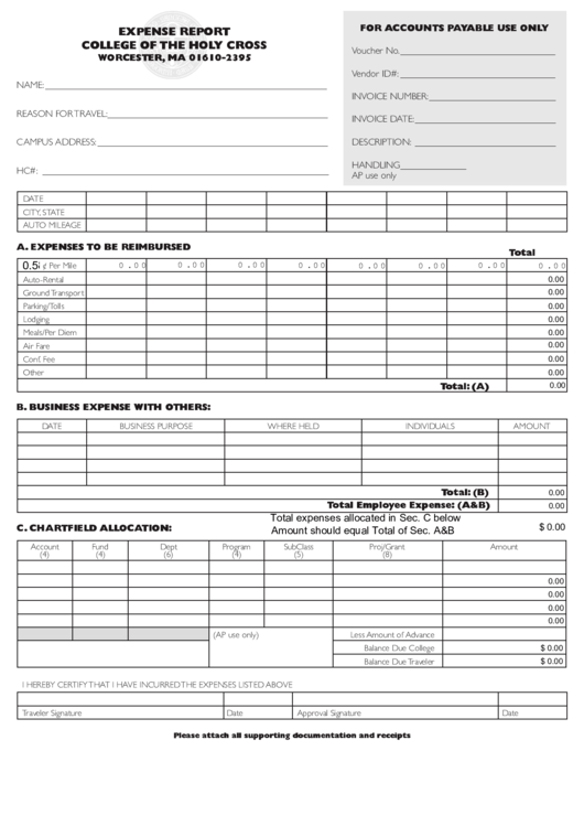 Fillable Travel Expense Report Template Printable pdf