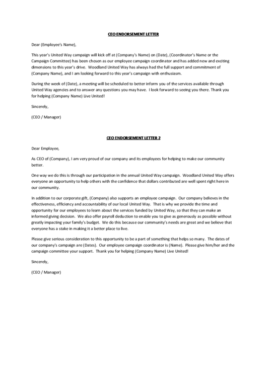 Ceo Endorsement Letter Printable pdf