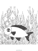 Fish Dot-to-dot Sheet