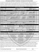 Emergency Medical Treatment Consent And Information Template