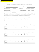 Drain Employee Performance Evaluation Form
