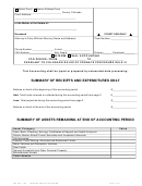 Summary Of Receipts And Expenditures Template - Colorado Court