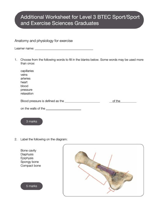 Additional Worksheet For Level 3 Btec Sport/sport And Exercise Sciences Graduates Printable pdf