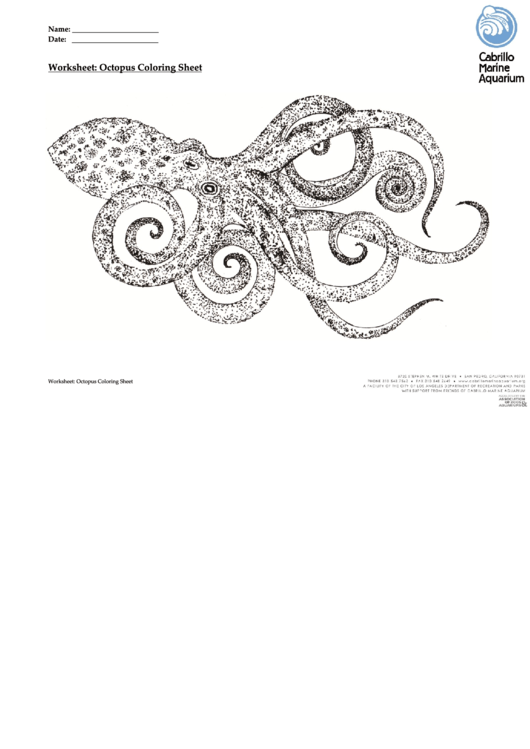 Octopus Coloring Sheet Printable pdf