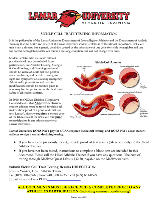 Sickle Cell Trait Testing Information