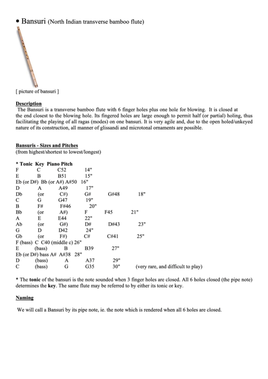 Bansuri North Indian Transverse Bamboo Flute Printable pdf