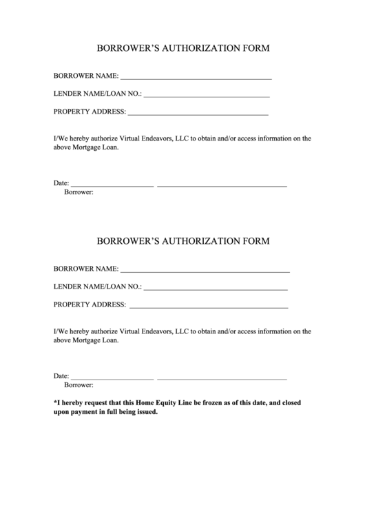 Borrower #39 S Authorization Form printable pdf download