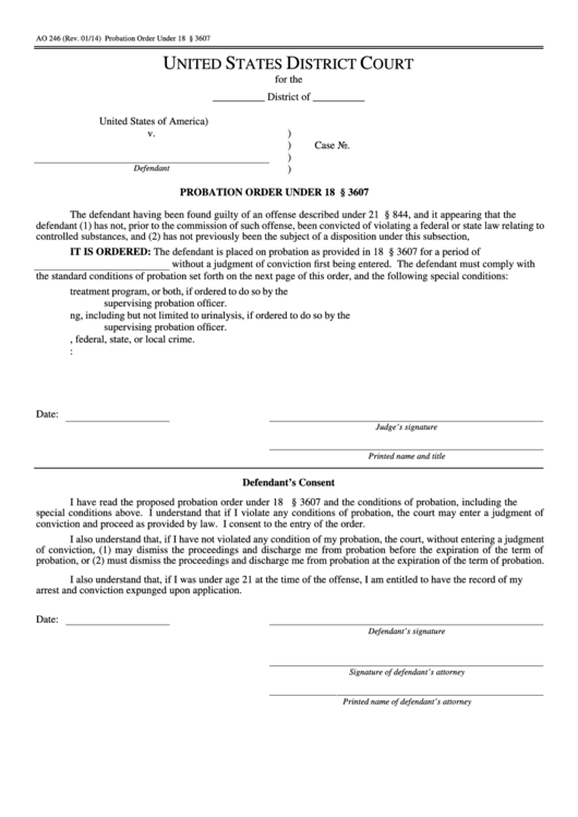 Fillable Probation Order Form Under 18 Printable pdf
