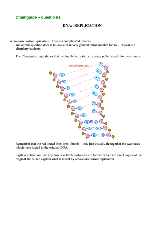Questions On Dna Replication Printable pdf