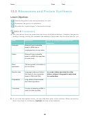 Ribosomes And Protein Synthesis Worksheet