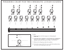 Fingering Chart For The Chromatic Junior Ocarina