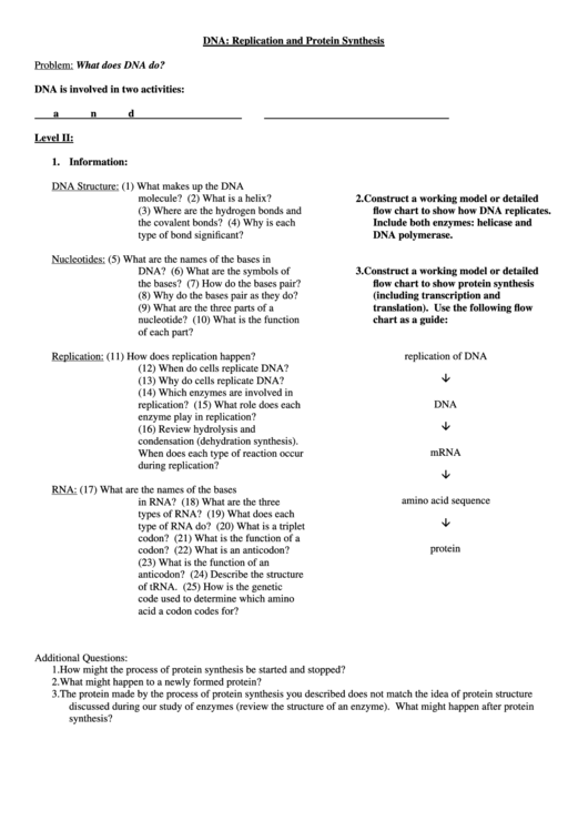Dna: Replication And Protein Synthesis Printable pdf