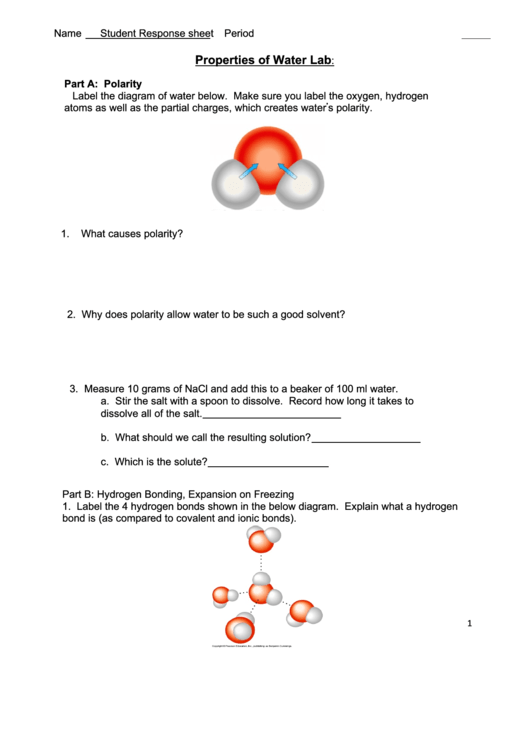 Properties Of Water Lab - Student Report Printable pdf