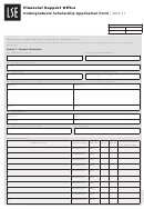 Financial Support Office Undergraduate Scholarship Application Form Printable pdf