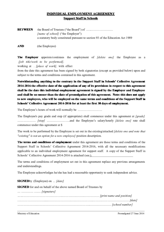 Individual Employment Agreement Template