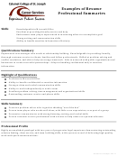 Examples Of Resume Professional Summaries