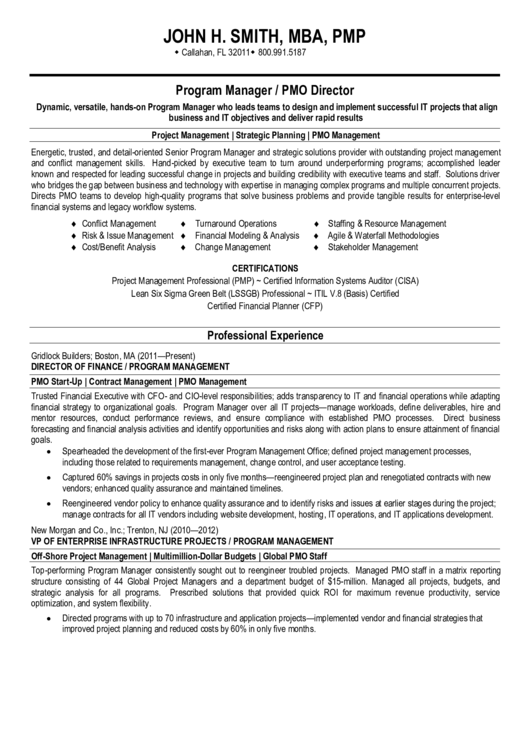 Program Manager / Pmo Director Sample Resume Printable pdf