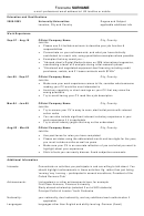 Sample Resume Template With Work Experience