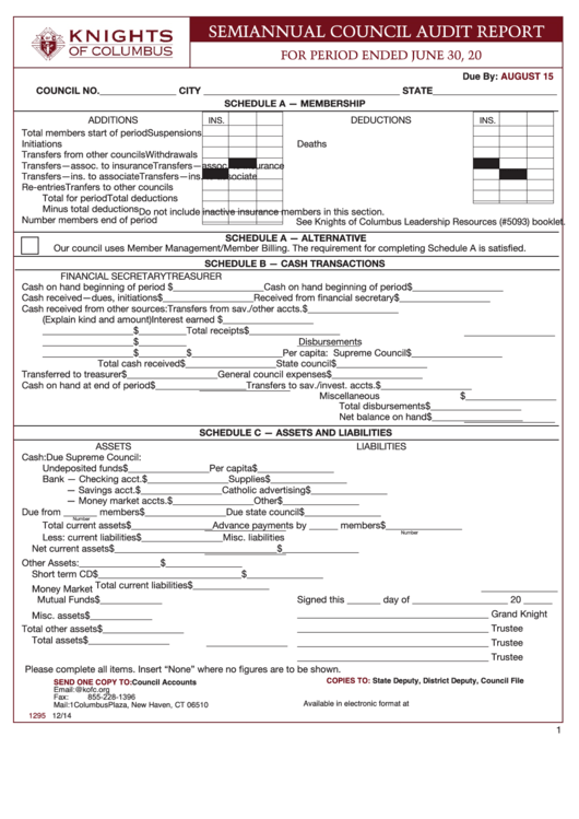 Knights Of Columbus Semiannual Council Audit Report Form - 2014 Printable pdf